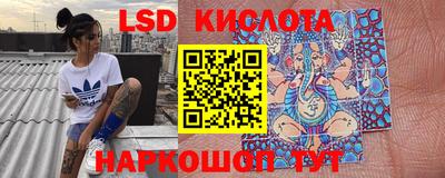 гидропоника Камышлов