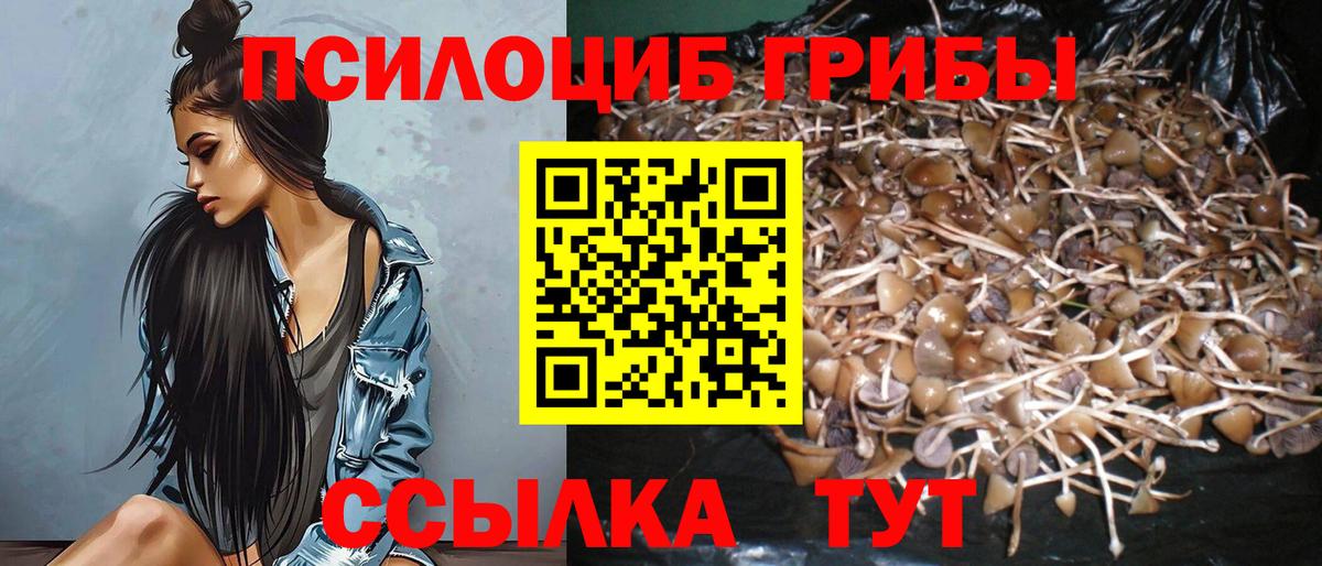 Галлюциногенные грибы мицелий Кумертау